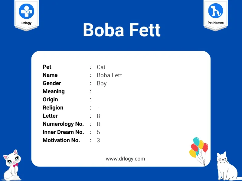Boba Fett Name Meaning